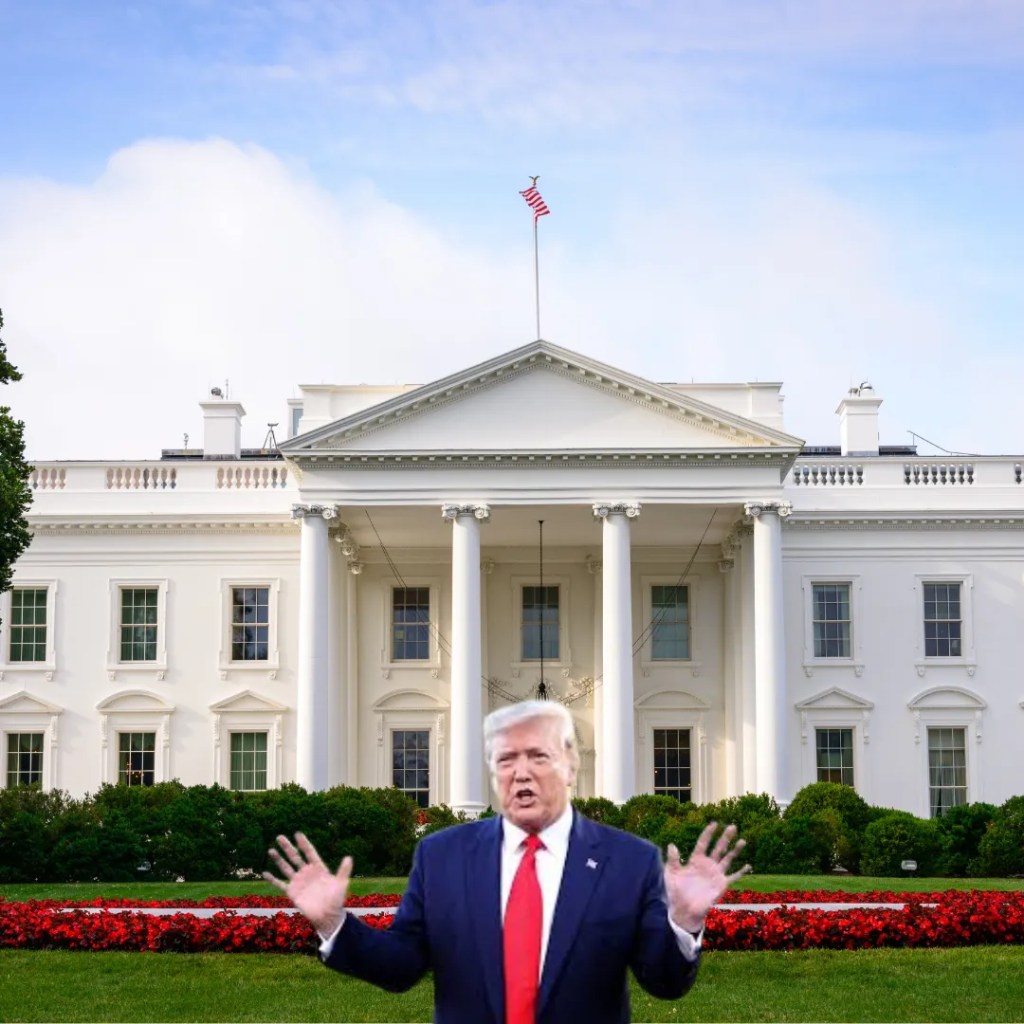 The Impact of President Donald Trump's Inauguration on Financial Markets